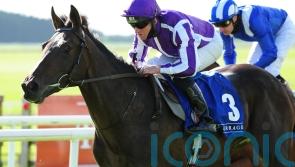 High Definition poised for Boxing Day hurdles bow