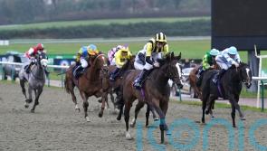 Al Agaila canters to victory in Winter Oaks Trial at Lingfield