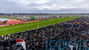 Kempton ground shaping up nicely for showpiece fixture