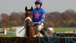 Tizzard family rocked by death of Cue Card after heart attack