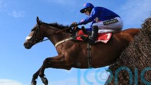 Magical Cue Card was one of jumping&rsquo;s brightest stars