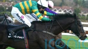 Saint Roi swoops for Grade One victory at Leopardstown