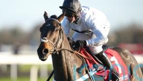 Christmas Hurdle proves cruise control for Constitution Hill