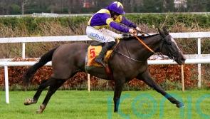 Deep Cave provides minor consolation for De Bromhead team