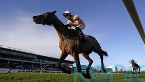 Willie Mullins continues Mares Hurdle run with Shewearsitwell