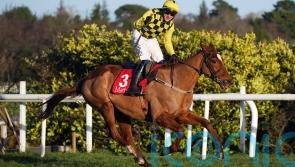 State Man claims easy victory in Matheson Hurdle