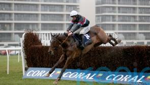 Gamaret does everything right on chasing bow