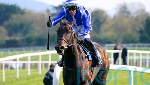 Energumene and Edwardstone top Clarence House contenders