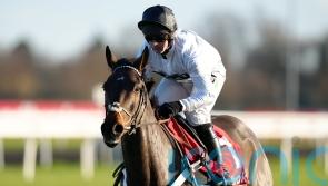 &lsquo;Almost certainly&rsquo; straight to Cheltenham now for Constitution Hill