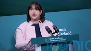 Cow dung incident &lsquo;part of cumulative chipping away at democracy&rsquo;, says TD