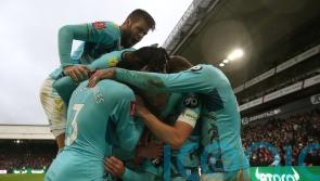 Southampton see off Crystal Palace in hard-fought clash