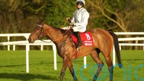Irish Champion Hurdle to determine Honeysuckle future