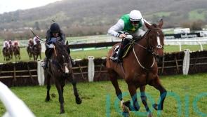 Hosie eyeing Cheltenham return for Rock My Way