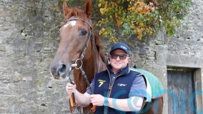 Beep Beep Burrow all set for Doncaster debut