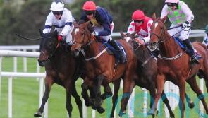 Longhouse Poet could make Galmoy stop on National trail