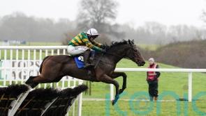 Comfort Zone possible for Leopardstown ahead of Cheltenham challenge