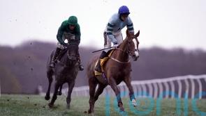 Not So Sleepy set to tread familiar Cheltenham path