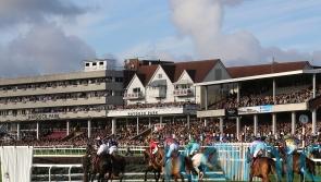 Haydock hoping Saturday card can beat the freeze