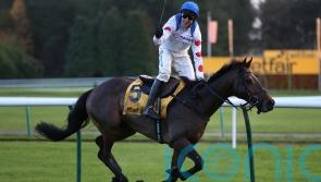 Protektorat primed for Cheltenham clash with Noble Yeats