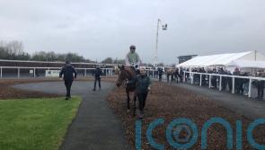 Allegorie De Vassy stays unbeaten for Mullins at Thurles