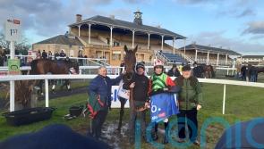 Windsor Avenue out to repeat Sky Bet Chase heroics