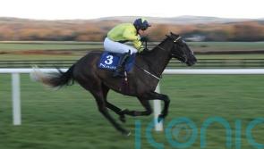 Connell backing Bello for bold Thyestes showing