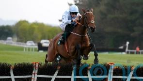 Honeysuckle ready for Irish Champion Hurdle defence