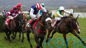 Back On The Lash back in front in Cheltenham cross country