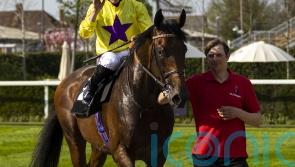 My Prospero firing Marquand dreams in big year ahead