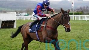 Lavelle points to lack of pace in Cleeve Hurdle as factor in Paisley Park defeat