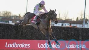 Williams taking direct Gold Cup route with Royale Pagaille