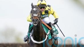 Henderson &lsquo;very happy&rsquo; with Shishkin and has sights set on Ascot