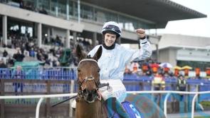 Leopardstown crowd likely to be willing Honeysuckle on this weekend