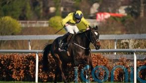 Good Land out to shake up established order in Leopardstown opener