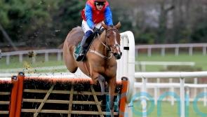 Facile Vega faces toughest test yet at Leopardstown