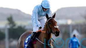 Mares&rsquo; Hurdle or retirement for Honeysuckle, but no Champion Hurdle