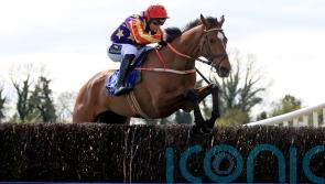 Vaucelet likely to spearhead David Christie&rsquo;s Cheltenham hopes