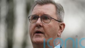 Verdict underlines need for political solution to NI Protocol &ndash; DUP leader