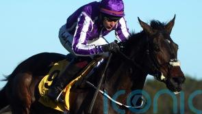 High Definition still in the frame for Cheltenham, despite weekend blip