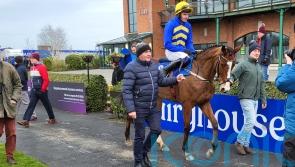 Lot Of Joy books Cheltenham ticket with Fairyhouse success