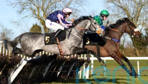 Marble Sands gets the better of Rare Edition at Huntingdon