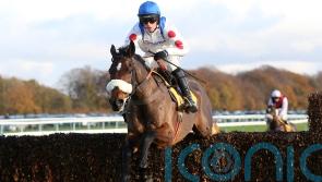 Nicholls backing Hitman for Denman redemption