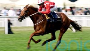 Saffron Beach retired after scope ends Saudi Cup hopes