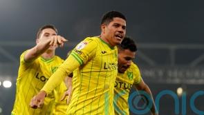 Norwich dominate Hull to end long wait for home win