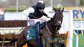 Flooring Porter making good progress towards Stayers&rsquo; Hurdle defence