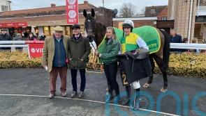 Favour And Fortune will be given Champion Bumper option