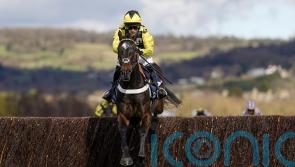 Shishkin spearheads super six for Ascot Chase