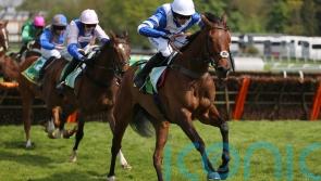 Nicholls anticipating Knappers Hill redemption at Wincanton