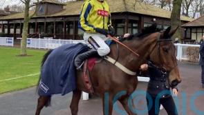 Bo Zenith cut for Triumph after Haydock strike