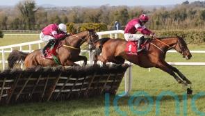 Coral Cup an option for back-to-form Beacon Edge